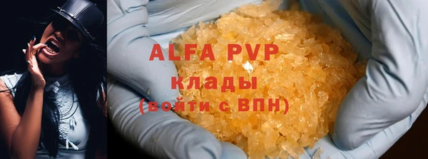 гашик Белоозёрский