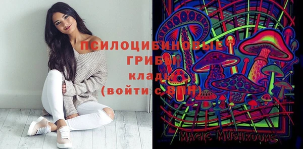 гашик Белоозёрский