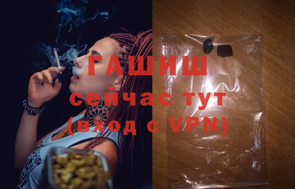 гашик Белоозёрский