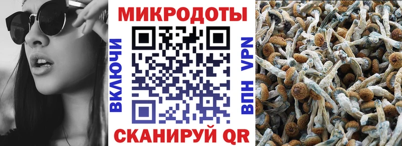 Псилоцибиновые грибы Magic Shrooms ОМГ ОМГ зеркало Шарыпово